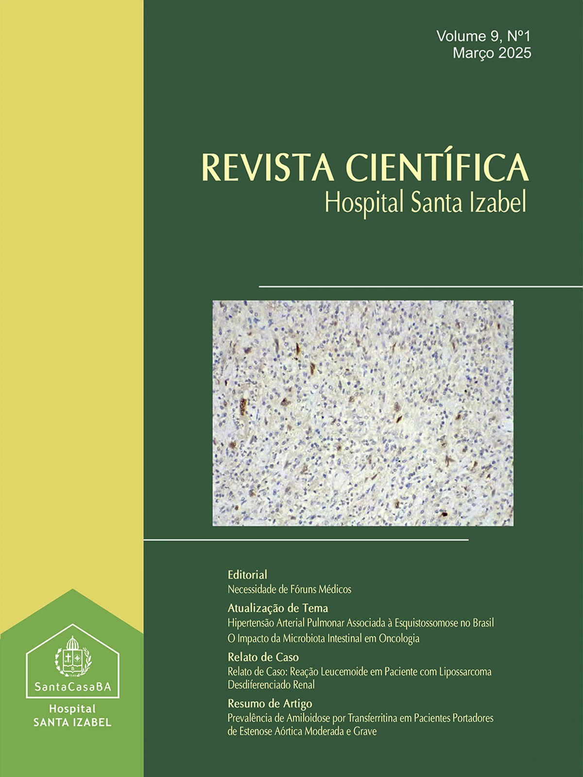 v. 9 n.1 (2025): Revista Científica Hospital Santa Izabel