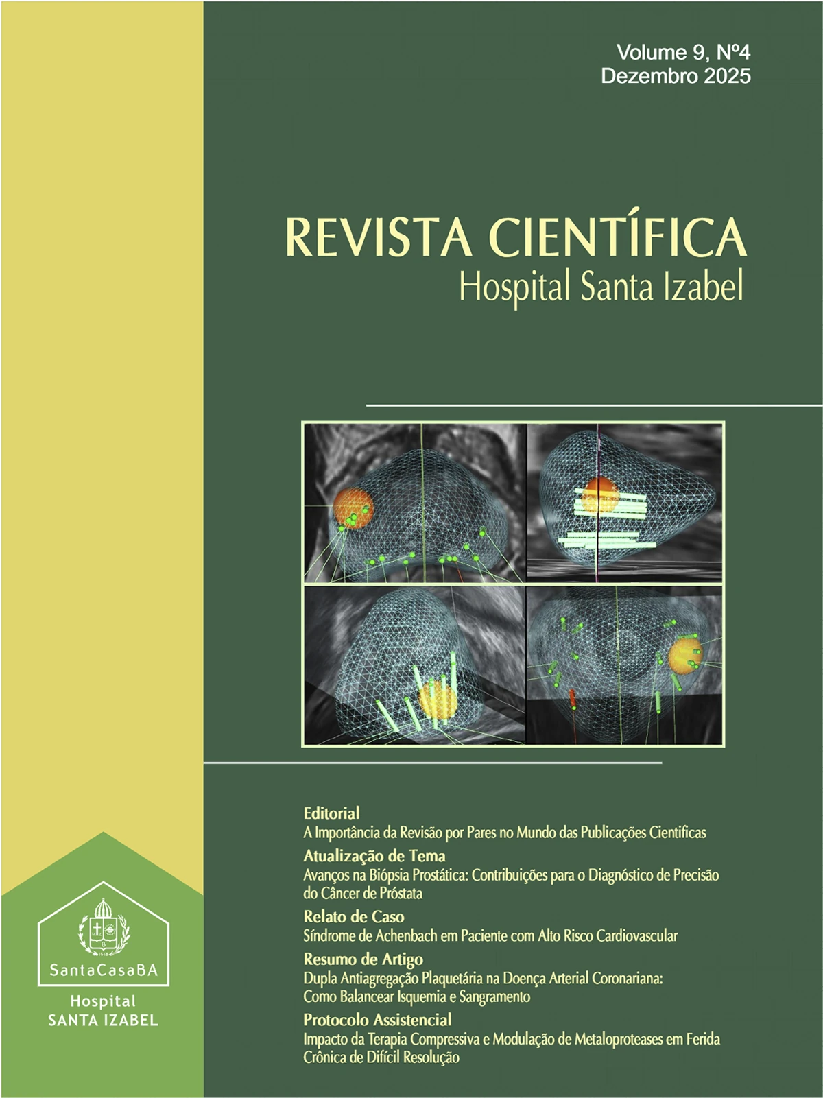 v. 9 n.4 (2025): Revista Científica Hospital Santa Izabel